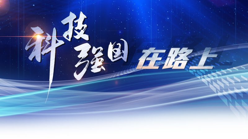企业供应链管理的数字化转型之路**